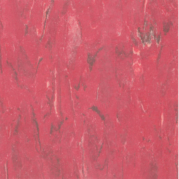 Tarkett - Tuile VCT II Matador 12" x 12"