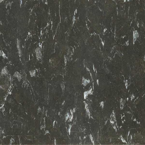 Tarkett - Tuile VCT II Ebony 12" x 12"