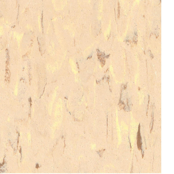 Tarkett - Tuile VCT II Earth 12" x 12"
