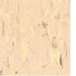 Tarkett - Tuile VCT II Earth 12" x 12"