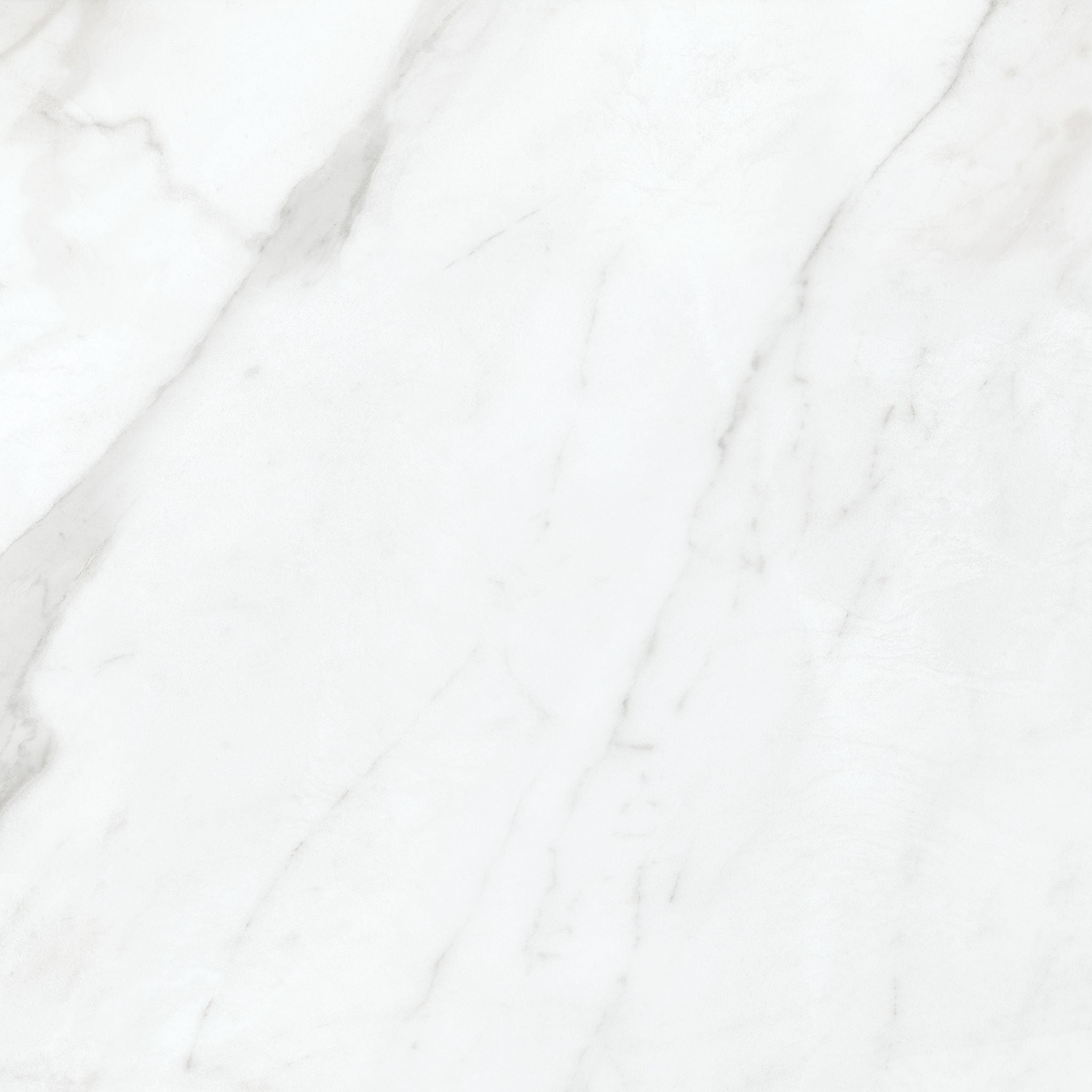 Anatolia Altezza Carrara Matte 20 x 20 in - carreau de porcelaine
