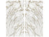 Anatolia - Calacatta Oro / Block 12 - Ceramed
