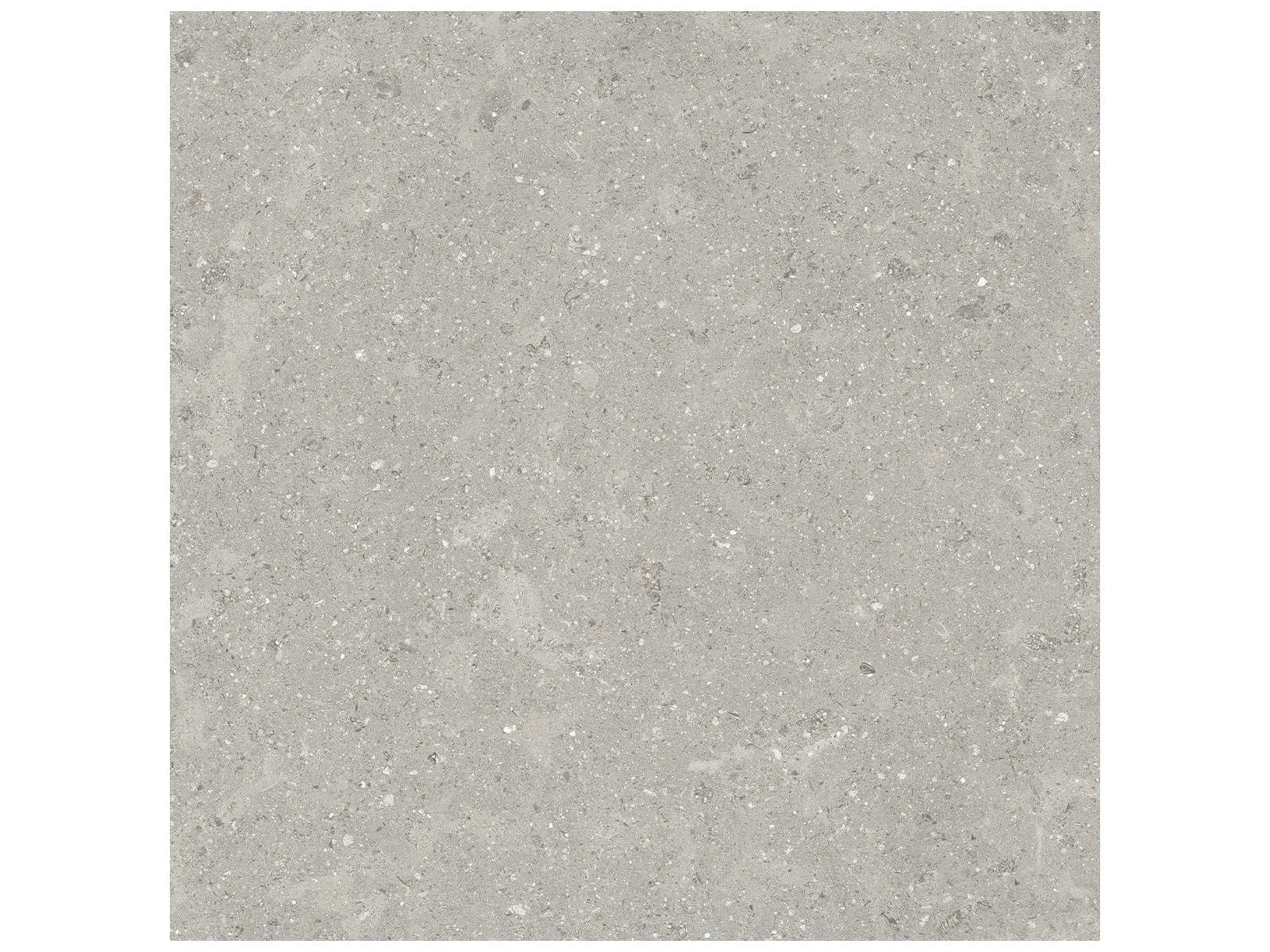 Anatolia - Coliseo Graphite - 12X24 / 20X20 / 13X13 ||4500-1028-0 // 4500-1037-0 // 4500-1036-0 - Ceramed