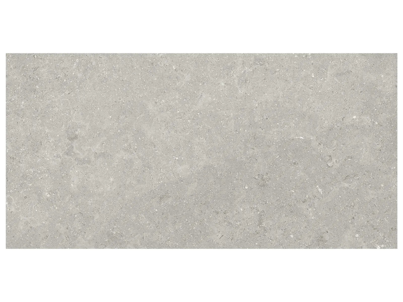 Anatolia - Coliseo Graphite - 12X24 / 20X20 / 13X13 ||4500-1028-0 // 4500-1037-0 // 4500-1036-0 - Ceramed