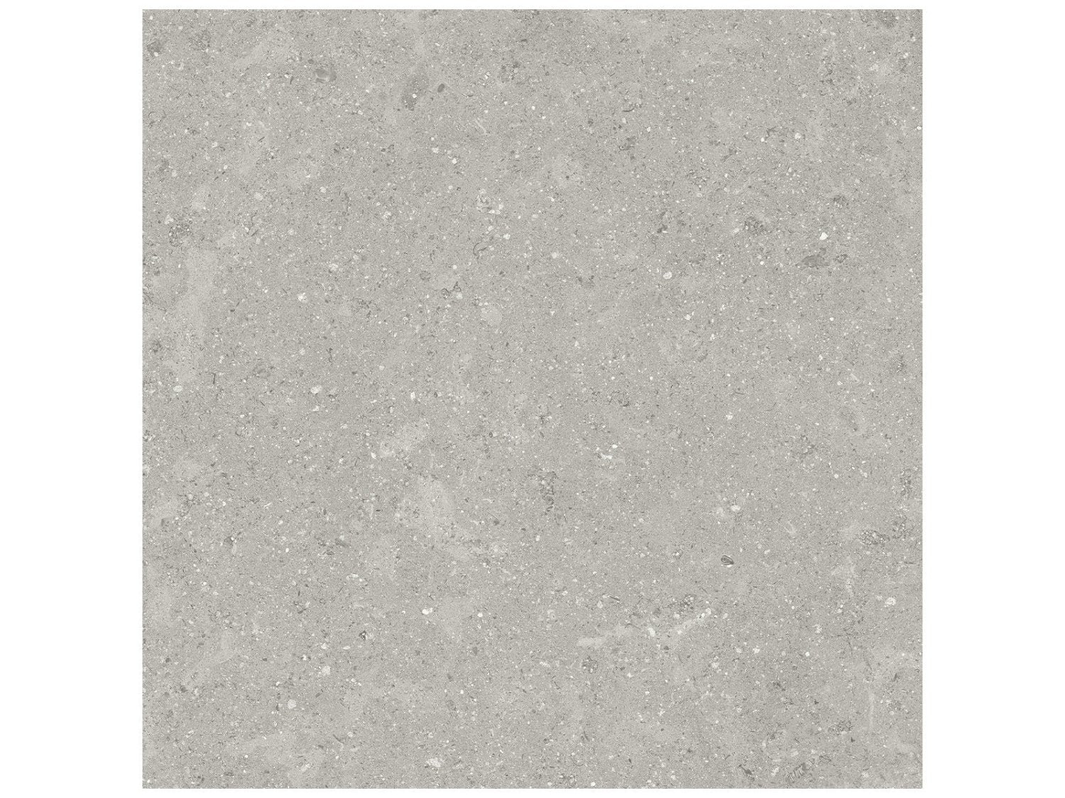 Anatolia - Coliseo - Graphite - Tuile de porcelaine émaillée aspect calcaire, fini mat 33 x 33 cm (13 x 13 po)