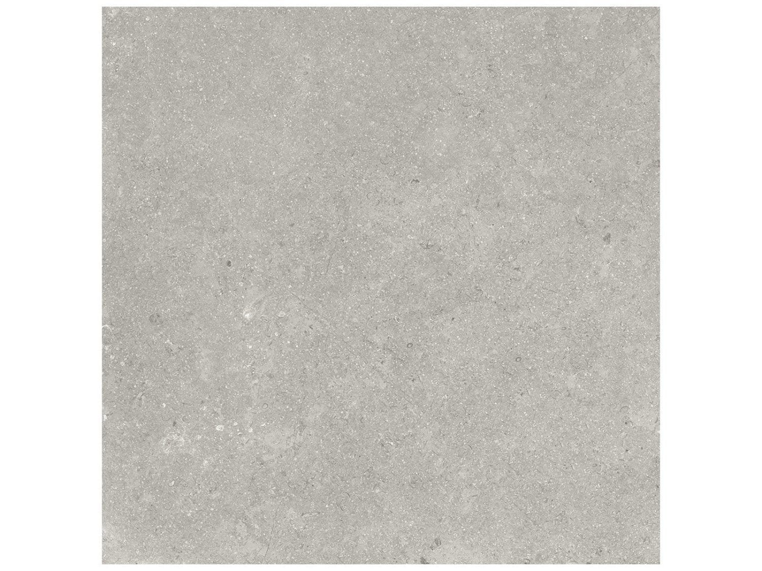 Anatolia - Coliseo - Graphite - Tuile de porcelaine émaillée aspect calcaire, fini mat 50 x 50 cm (20 x 20 po)