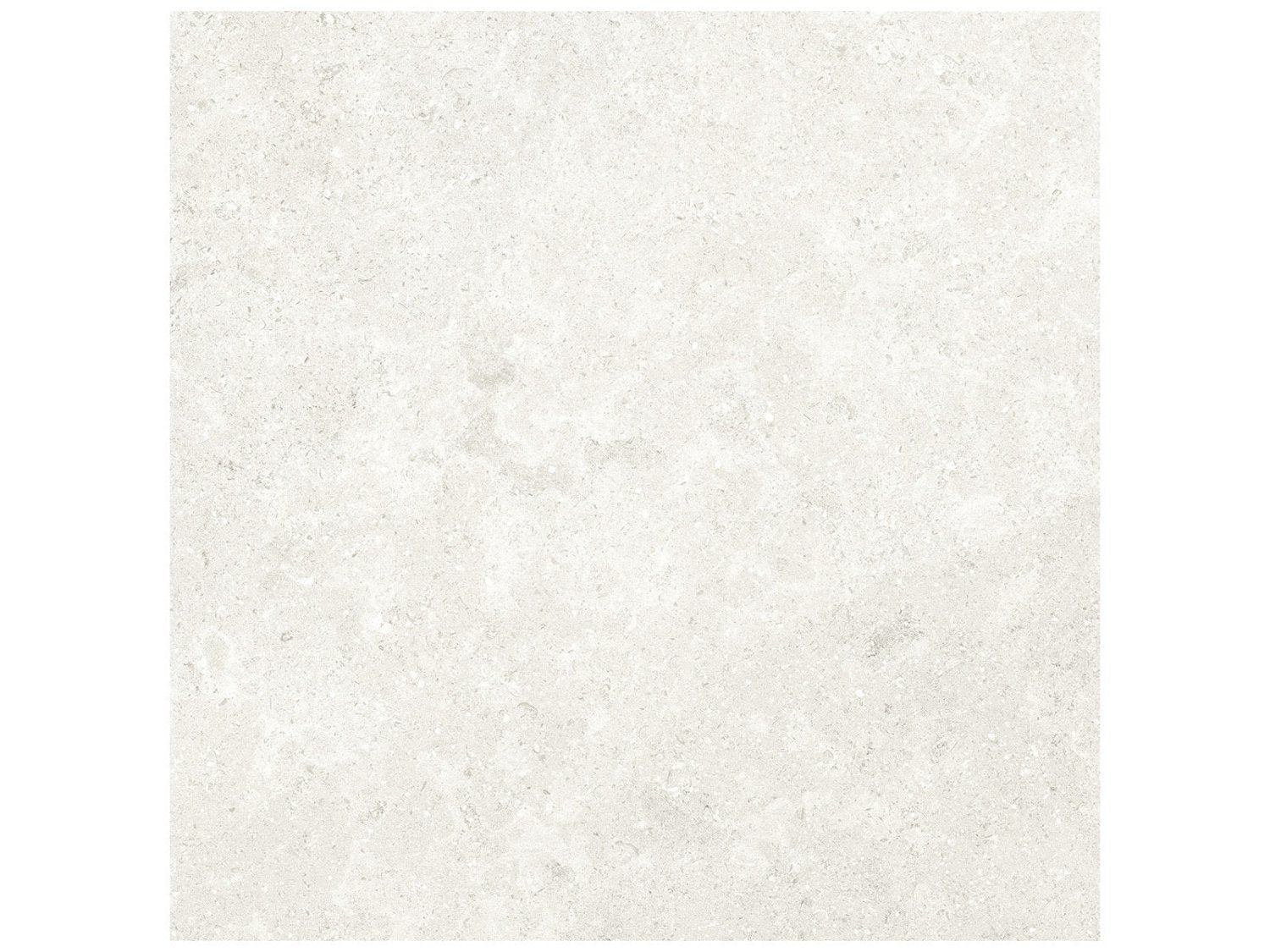 Anatolia - Coliseo - Pearl - Tuile de porcelaine émaillée aspect calcaire, fini mat 33 x 33 cm (13 x 13 po)