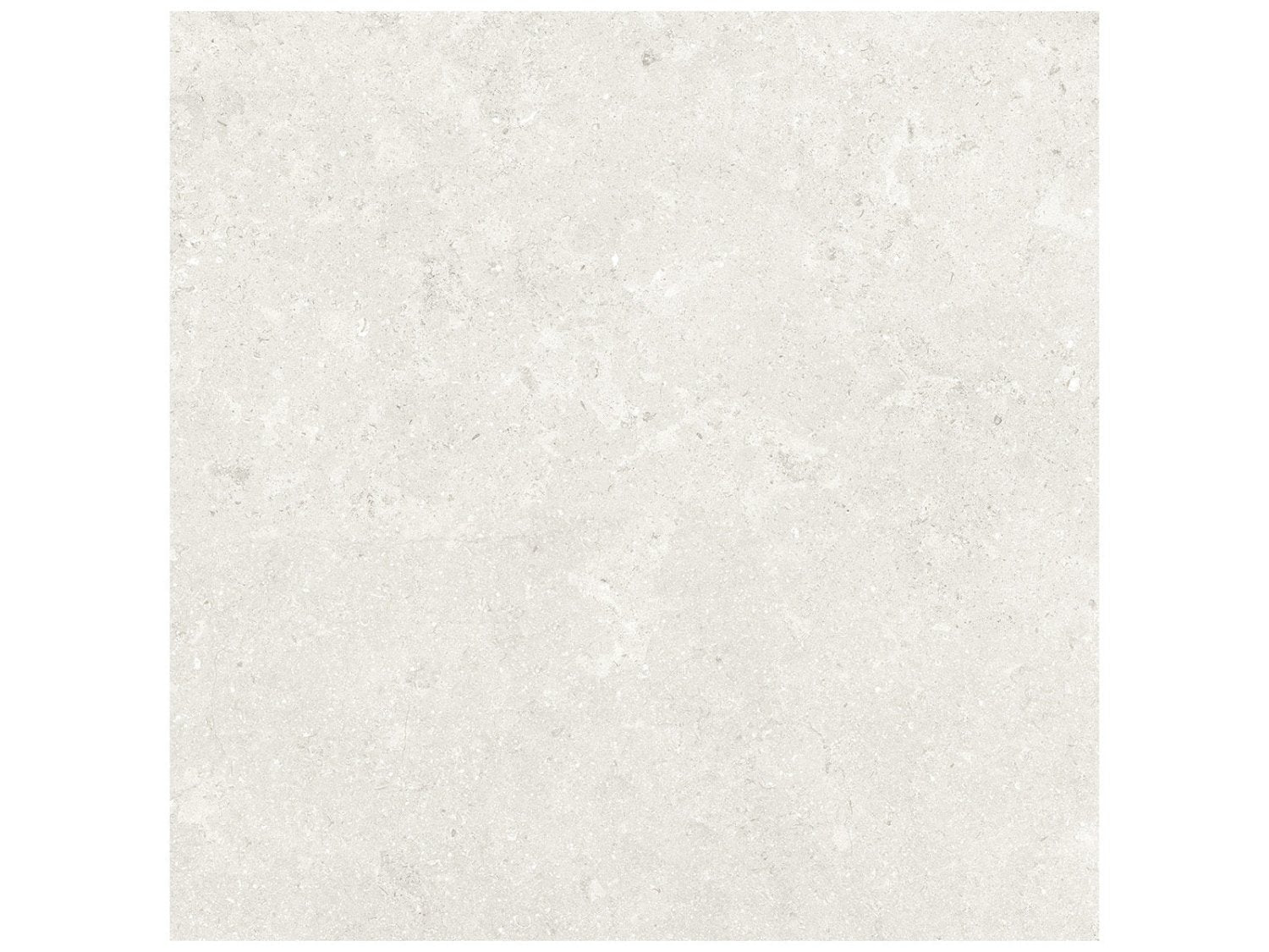 Anatolia - Coliseo - Pearl - Tuile de porcelaine émaillée aspect calcaire, fini mat 50 x 50 cm (20 x 20 po)