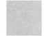 Anatolia - Coliseo Platinum - 12X24 / 20X20 / 13X13 ||4500-1027-0 // 4500-1038-0 // 4500-1035-0 - Ceramed