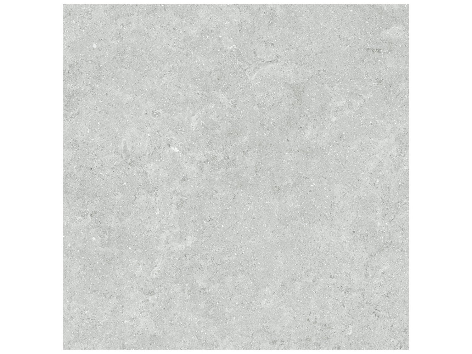 Anatolia - Coliseo - Platinum - Tuile de porcelaine émaillée aspect calcaire, fini mat 50 x 50 cm (20 x 20 po)