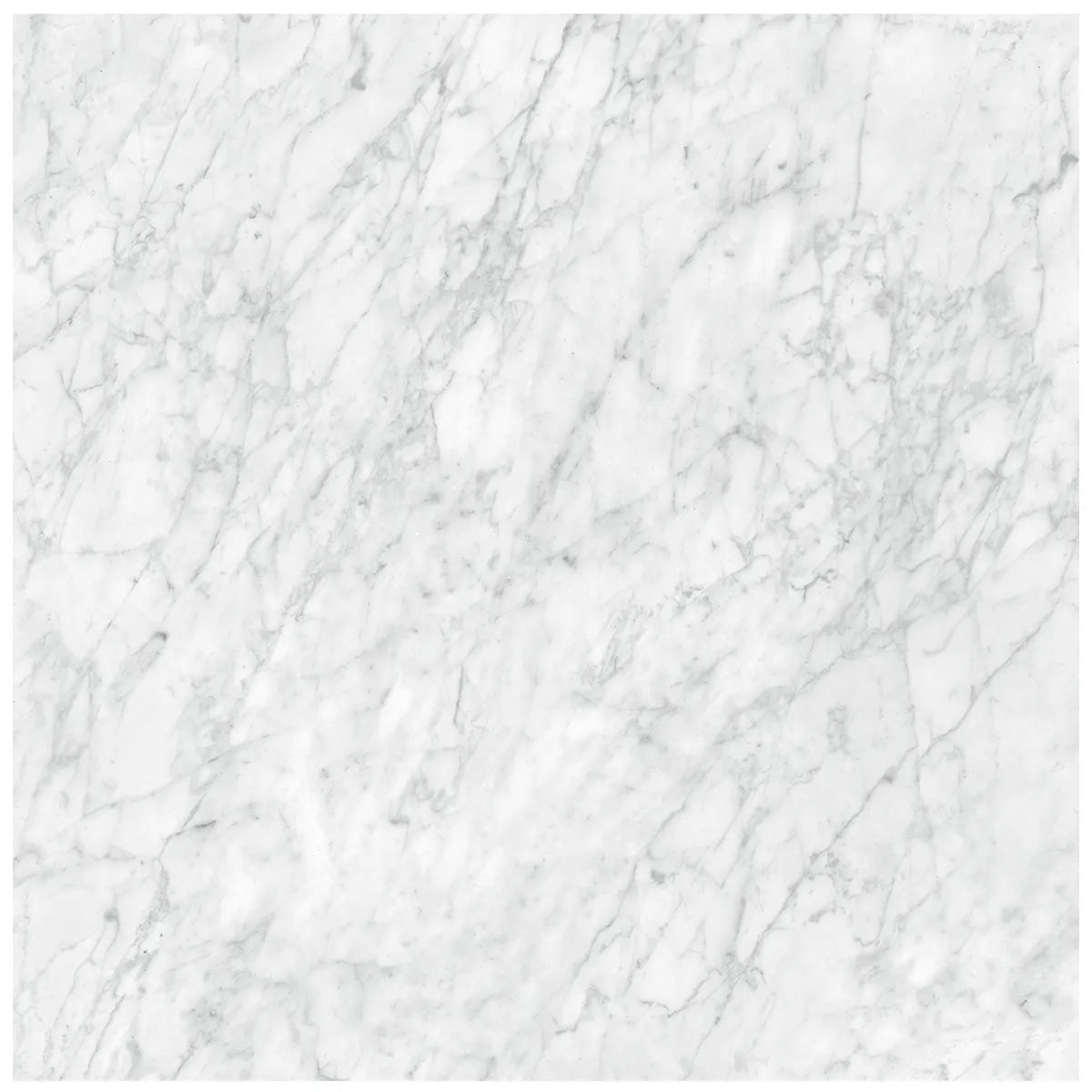 Anatolia - La Marca - Carrara Gioia - Carreau de porcelaine adouci rectifié 80 x 80 cm (32 x 32 in) ||4500-0857-0 - Ceramed