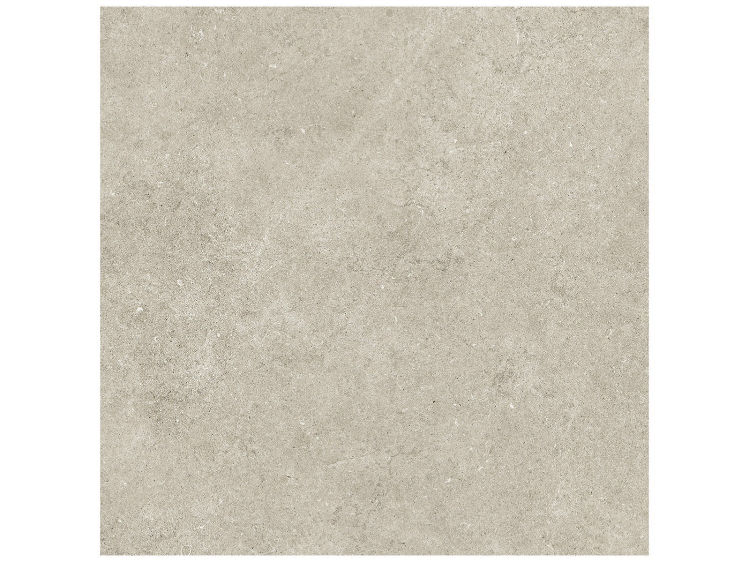 Anatolia - Lithoform - Crosscut Coast - Tuile rectifiée de porcelaine colorée dans la masse, fini mat organique 60 x 60 cm (24 x 24 po)