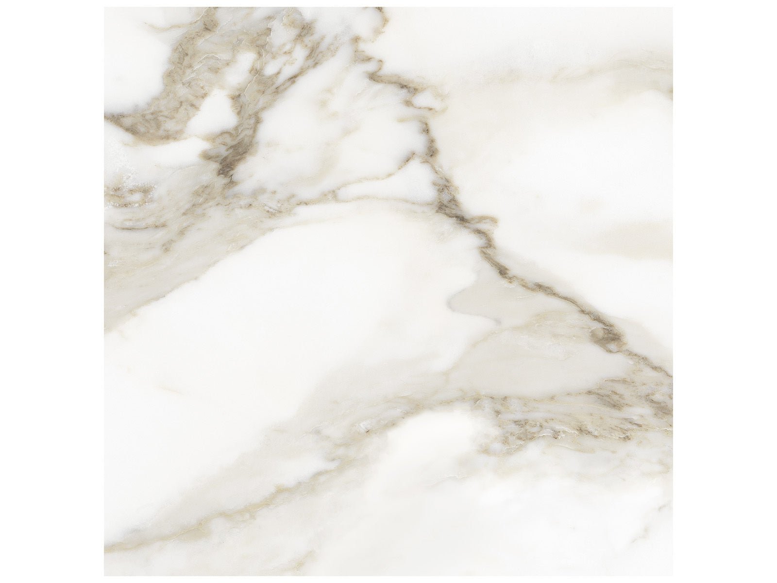 Anatolia - Lumino - Calacatta - Tuile de porcelaine émaillée aspect pierre 20 x 20 po mat