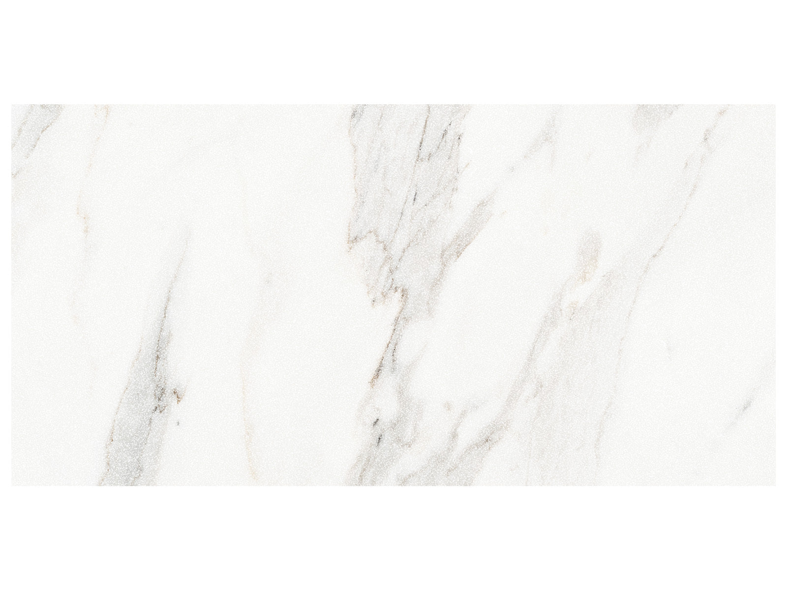 Anatolia - Majesto - Calacatta Borghini - Tuile de porcelaine colorée dans la masse rectifiée aspect pierre 12 x 24 po