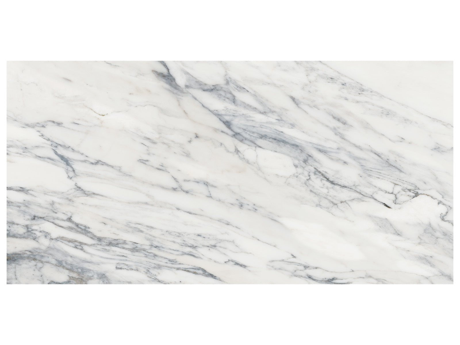 Anatolia - Majesto - Calacatta Corchia - Tuile de porcelaine colorée dans la masse rectifiée aspect pierre 12 x 24 po