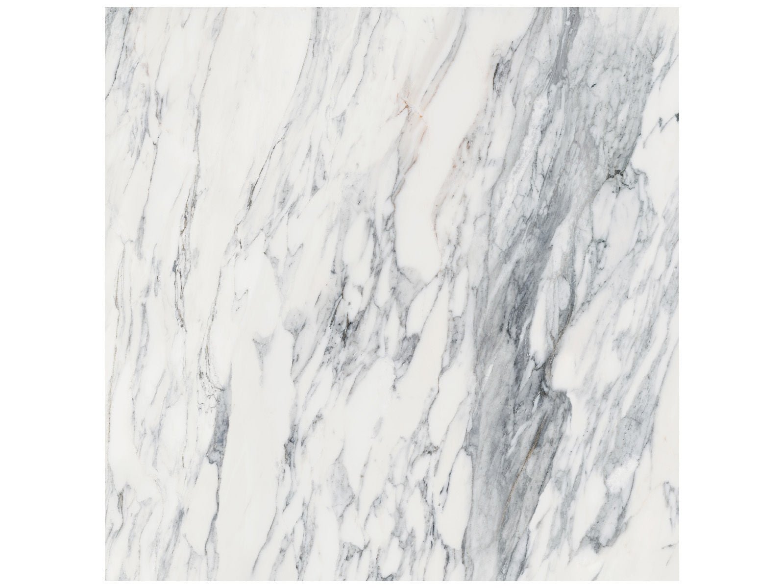 Anatolia - Majesto - Calacatta Corchia - Tuile de porcelaine colorée dans la masse rectifiée aspect pierre 24 x 24 po