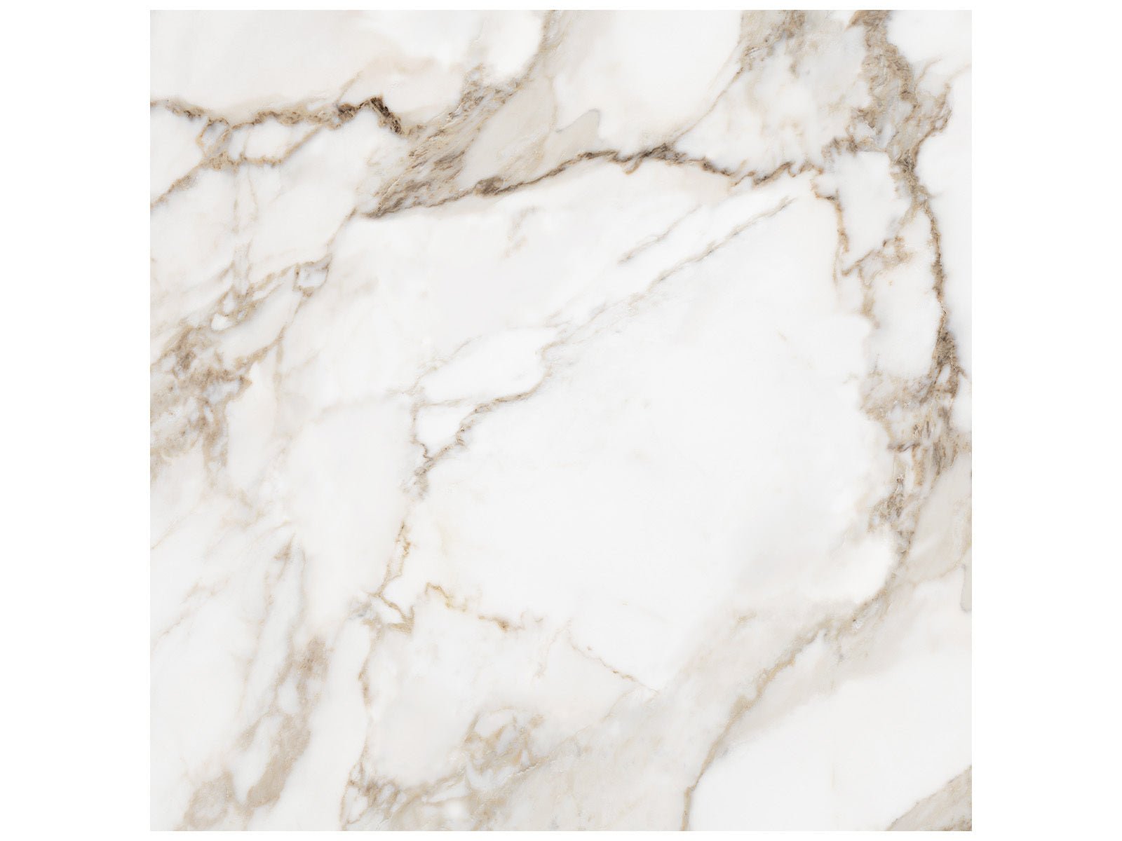 Anatolia - Majesto - Calacatta Oro - Tuile de porcelaine colorée dans la masse rectifiée aspect pierre 36 x 36 po