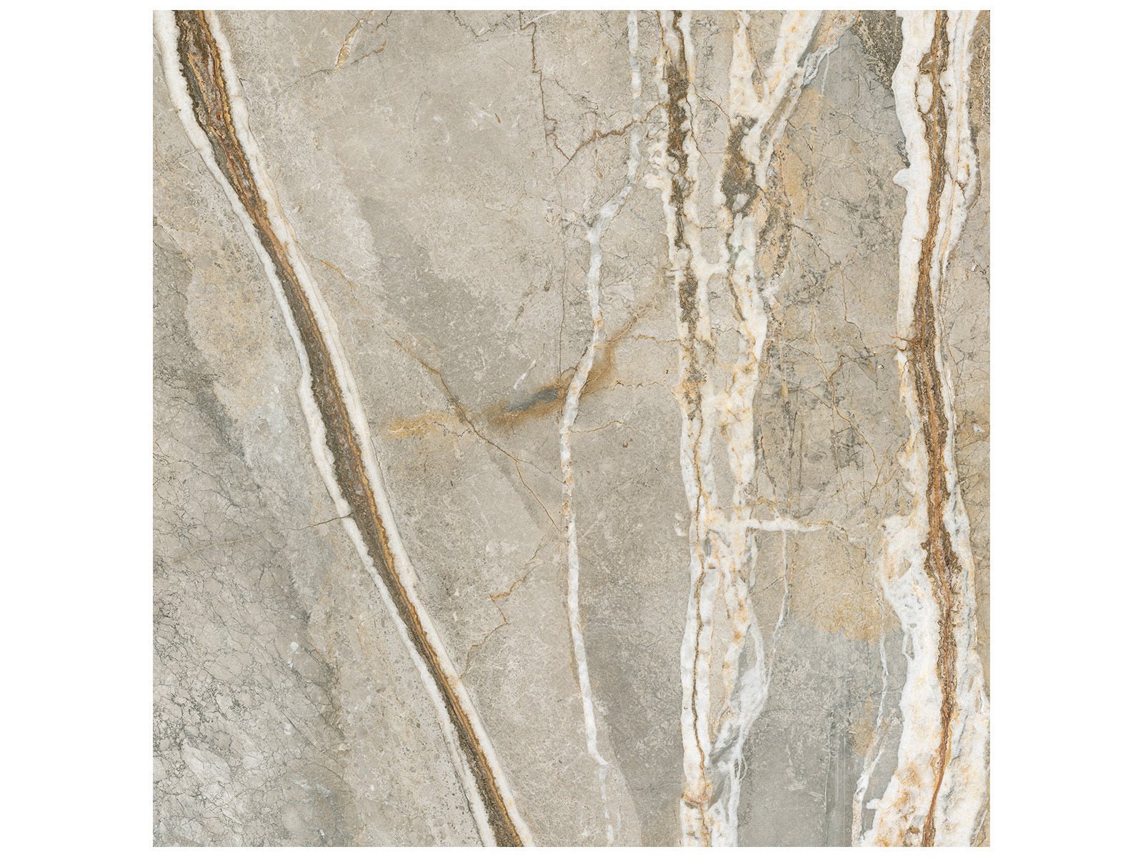 Anatolia - Majesto - Foresta - Tuile de porcelaine colorée dans la masse rectifiée aspect pierre 24 x 48 po