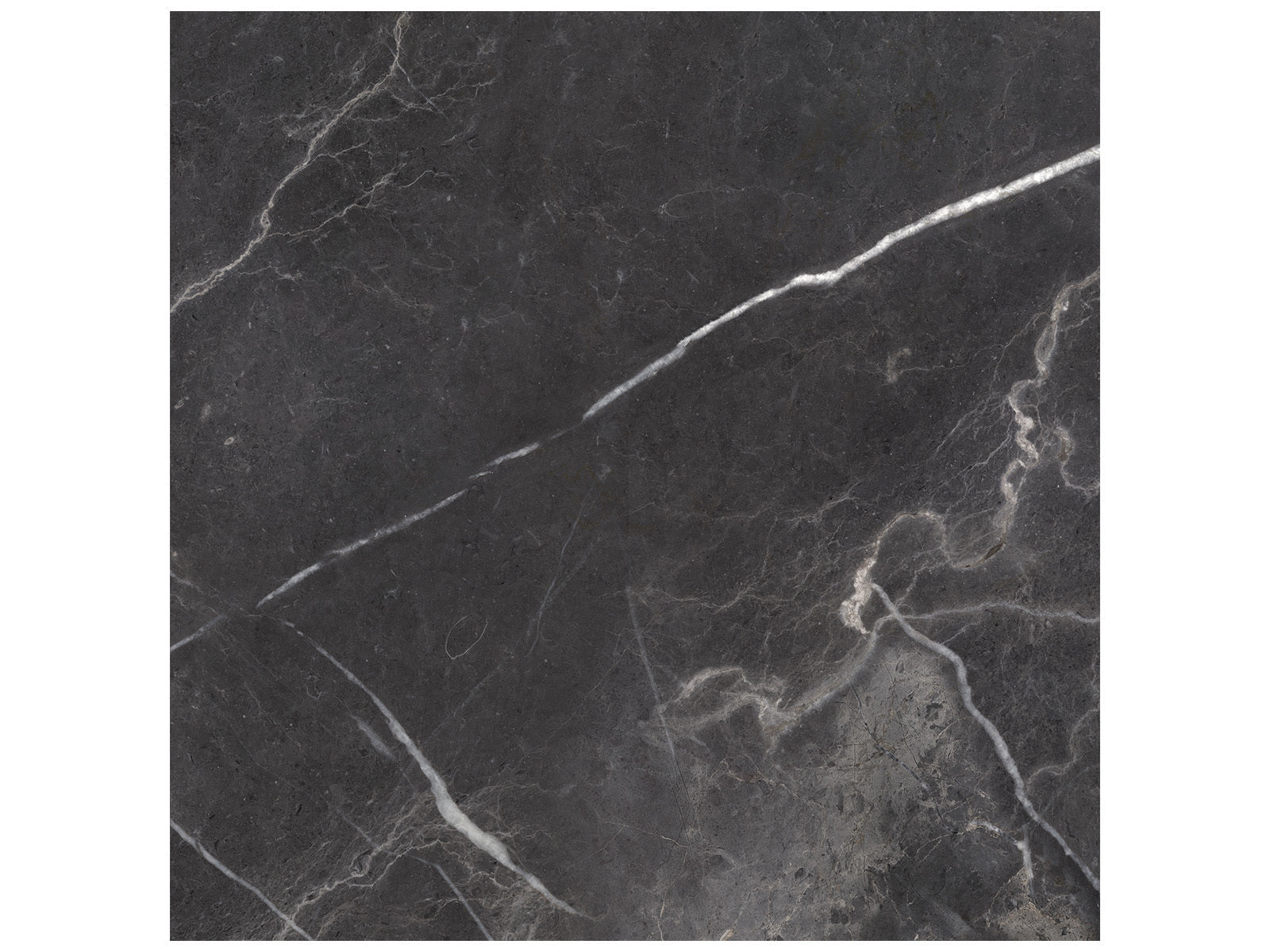 Anatolia - Majesto - Forge Eleganza - Tuile de porcelaine colorée dans la masse rectifiée aspect pierre 24 x 24 po