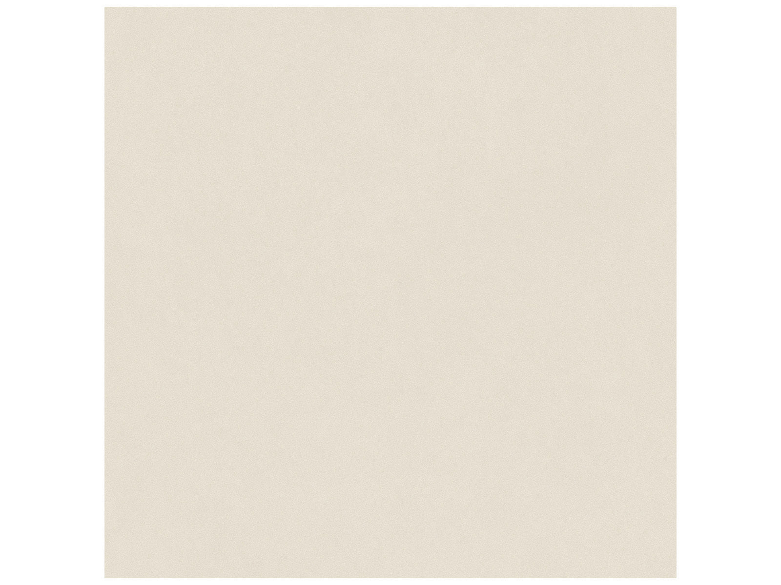 Anatolia - Serena - Crater - Tuile de porcelaine colorée dans la masse rectifiée aspect grès 24 x 48 po