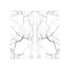 Anatolia - Statuario / Block 17 - Ceramed