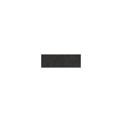 Anatolia - Tuiles de plancher La Marca Nero Venato Poli 4" x 12" (vendu au pi²) ||4500-0895-1-SQFT - Ceramed