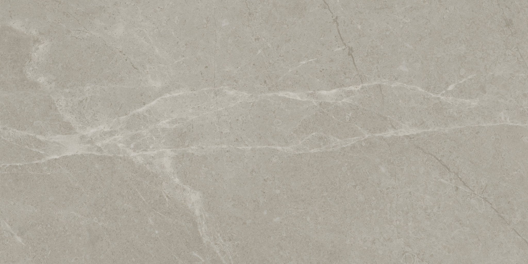 Anatolia - Tuiles de porcelaine Torino Vanizio mate 12" x 24" ||4500-0680-0 - Ceramed