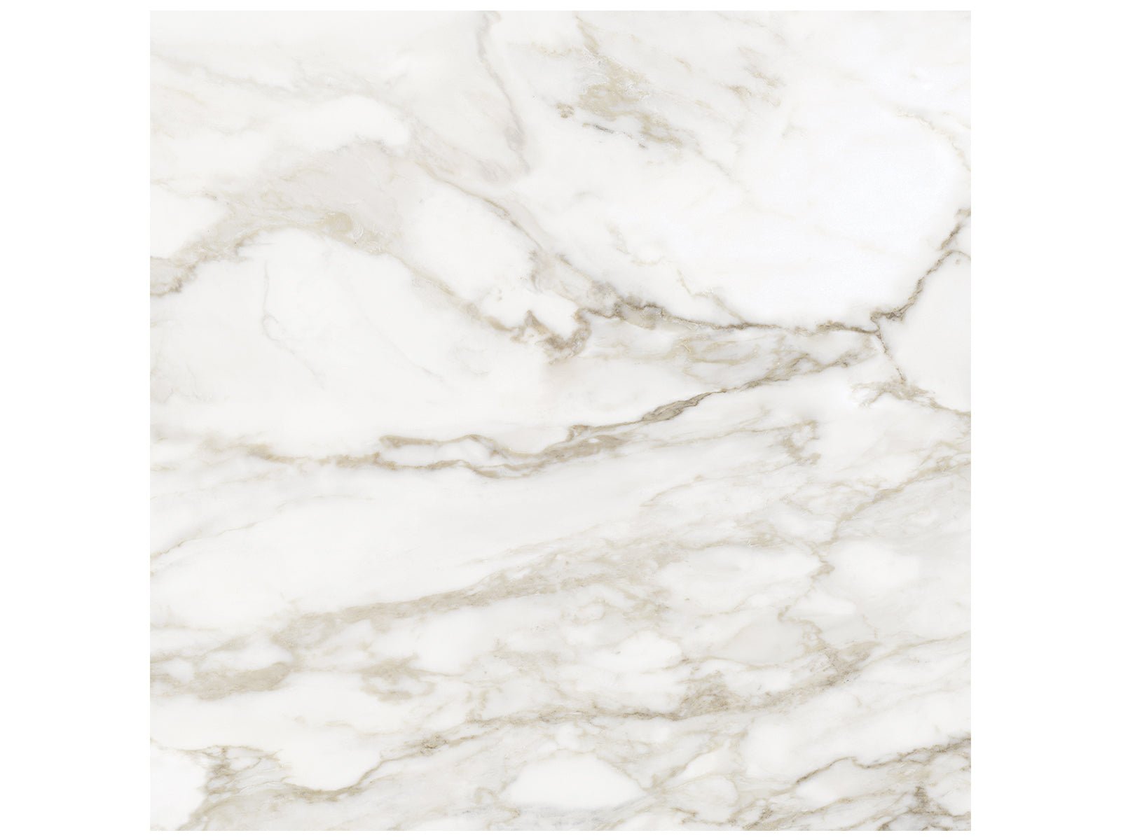 Anatolia - Tuiles plancher La Marca Calacatta Paonazzo Poli 32" x 32" (vendu en pi²) ||4500-0848-1-SQFT - Ceramed