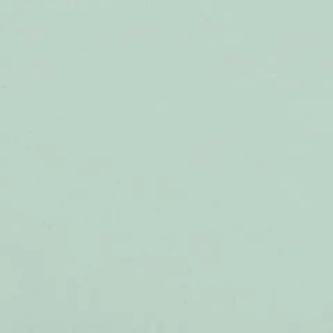 Centura - COSTA NOVA - Carreau de céramique - ALOE PRAIA LUSTRÉ 2 po x 8 po x 9 mm - 4,59 pi²