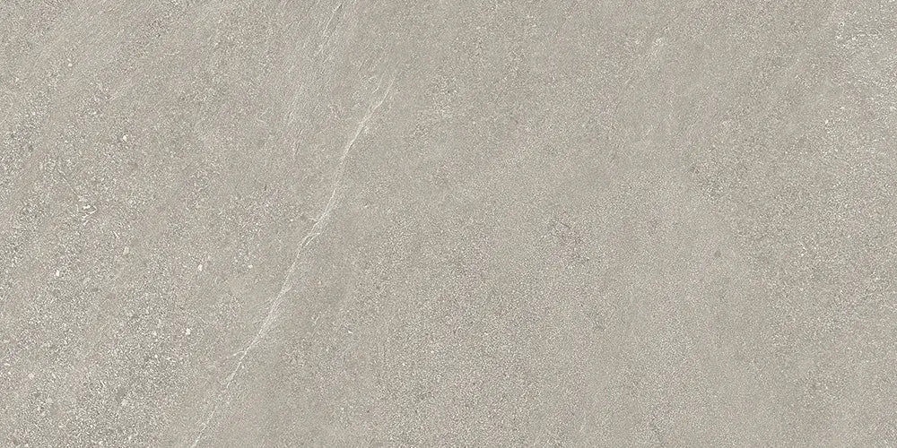 Centura - MÔTLEY - Carreau de céramique - ALTAMONT NATUREL 24 po x 48 po x 9 mm