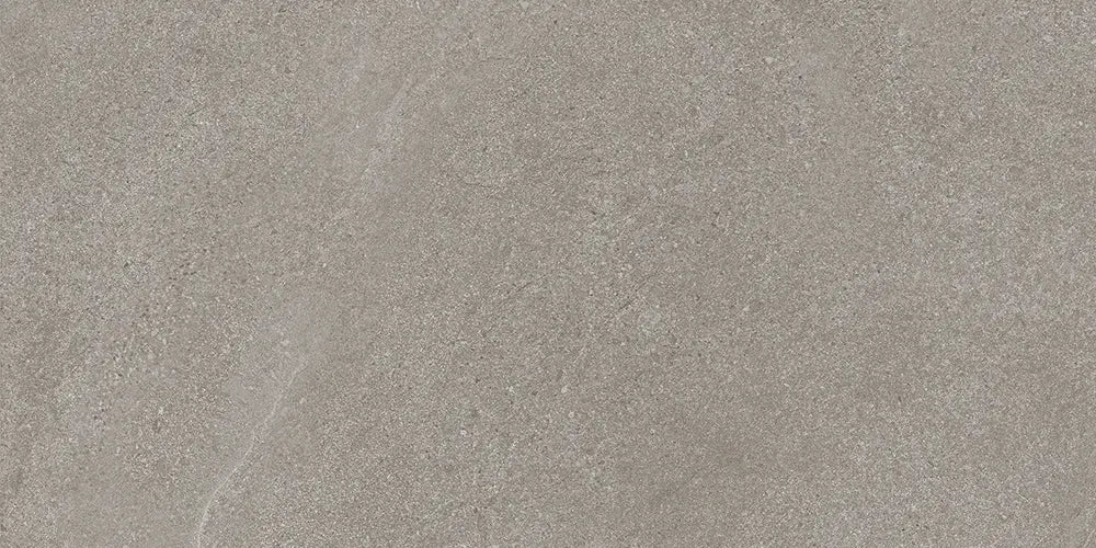 Centura - MÔTLEY - Carreau de céramique - WOODSTOCK NATUREL 24 po x 48 po x 9 mm