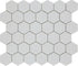 Centura - PAN DAN - Carreau de céramique - salt 11 po x 11 po x 6 mm - 8,27 pi²