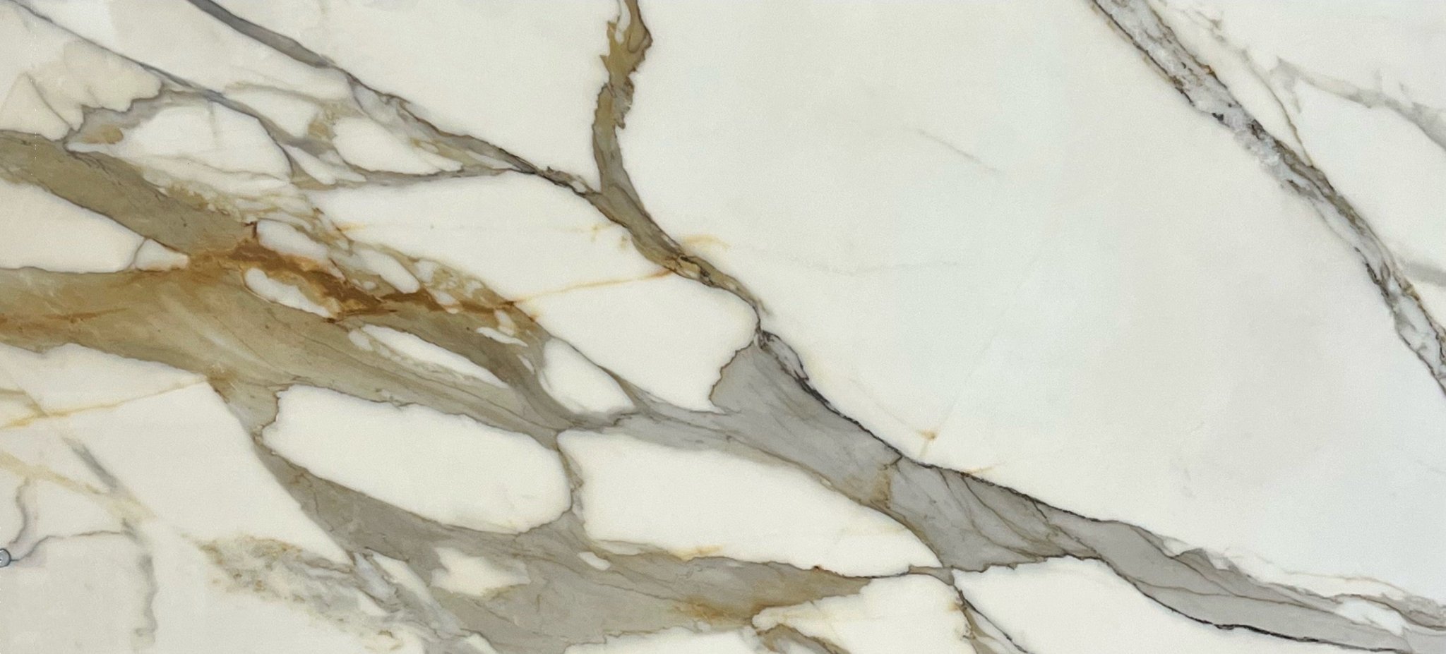 Ceramed - Boutique Calacatta Gold - 24X48 - Ceramed