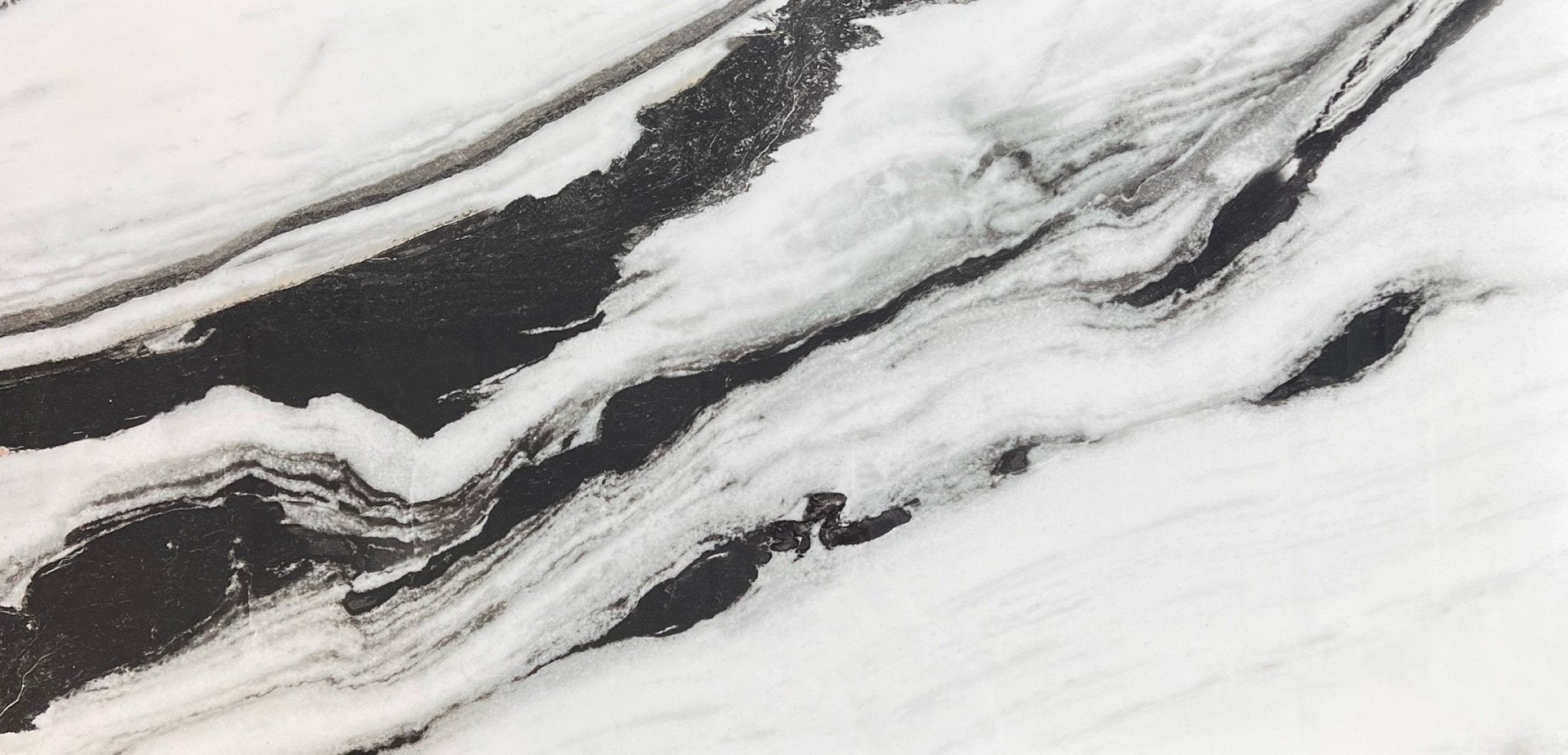 Ceramed - Panda - 24X48 - Ceramed