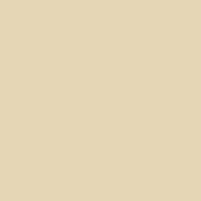 M-D PRO - Nez de marche en vinyle à chevauchement tombant Blanc Antique #024 1 7/8" x 1 7/8" x 12'