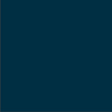 M-D PRO - Nez de marche arrondi en vinyle Bleu Véritable #005 1 3/16" x 1 5/8" x 12'