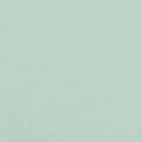 Centura - COSTA NOVA - Carreau de céramique - ALOE PRAIA LUSTRÉ 2 po x 8 po x 9 mm - 4,16 pi²