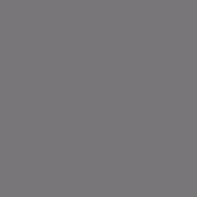 Custom Building Products - Scellant au silicone #19 Pewter 300 ml