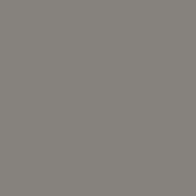 Custom Building Products - Scellant au silicone #335 Winter Gray 300 ml