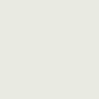 Custom Building Products - Scellant au silicone #381 Bright White 300 ml