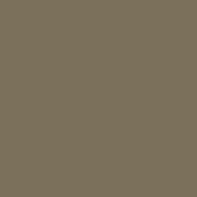 Custom Building Products - Scellant au silicone #541 Walnut 300 ml