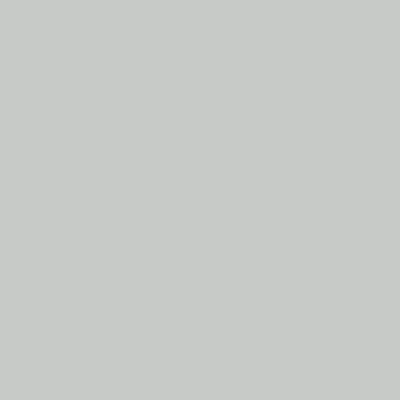 Custom Building Products - Scellant au silicone #544 Rolling Fog 300 ml