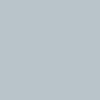 Custom Building Products - Coulis non-sablé Polyblend plus #546 Cape Gray 10 lb