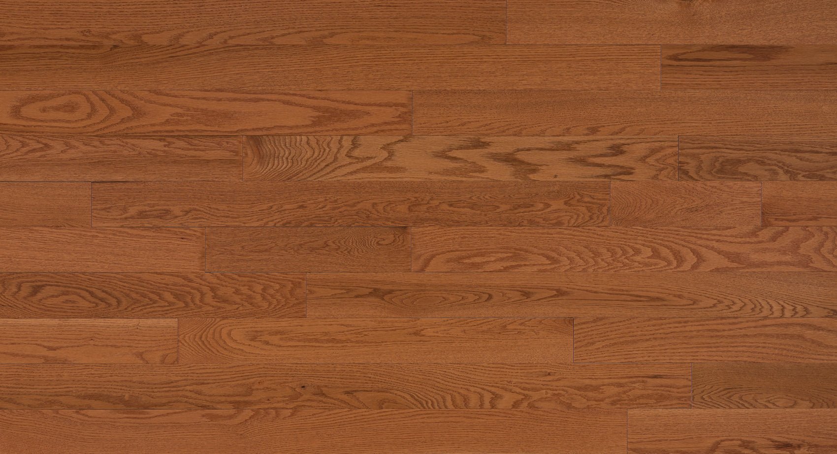 Dubeau - Nuance - Butterscotch - Plancher de bois d'ingénierie en chêne rouge