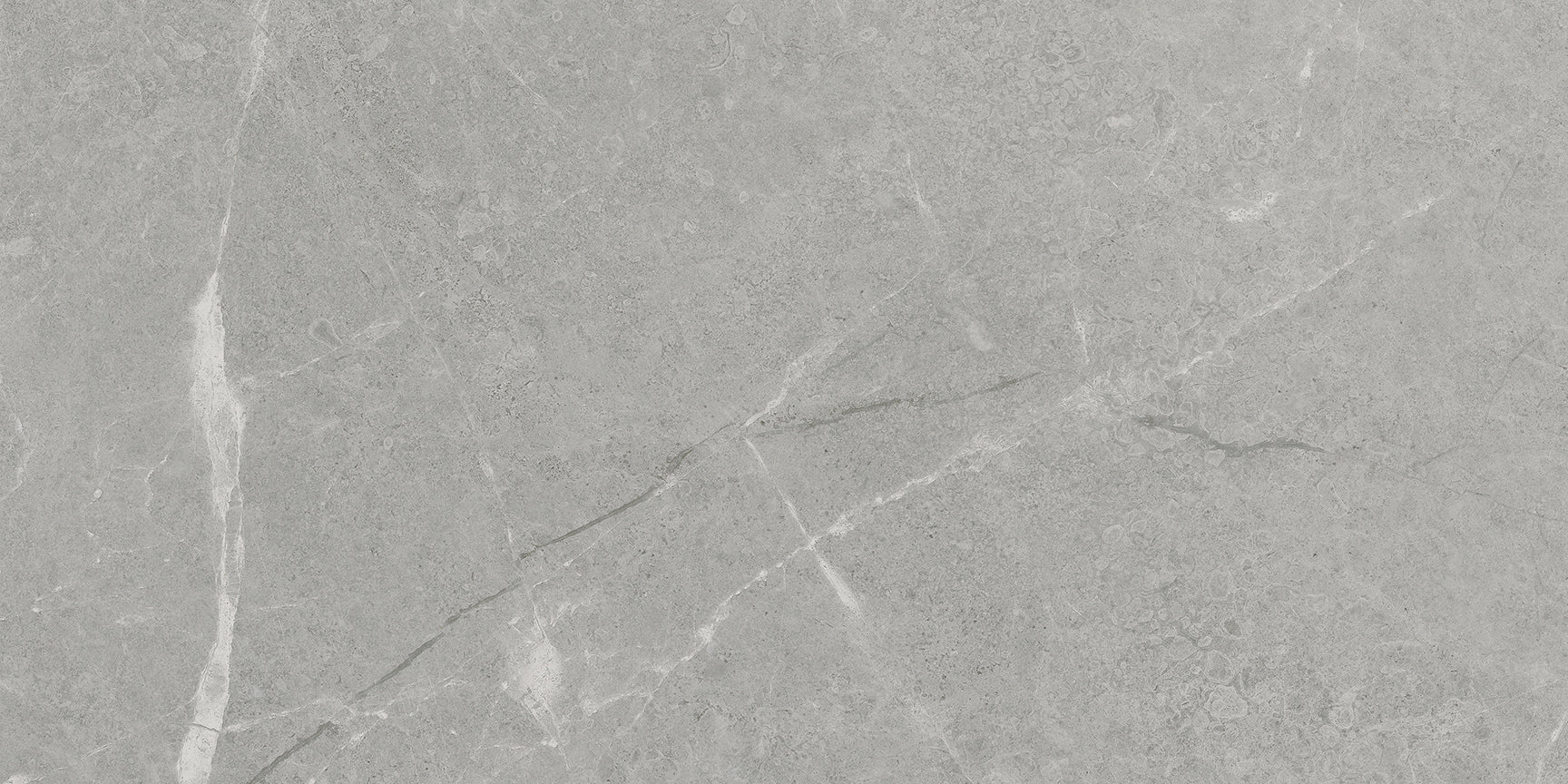 Anatolia - Tuiles de porcelaine Torino Argento mate 12" x 24"
