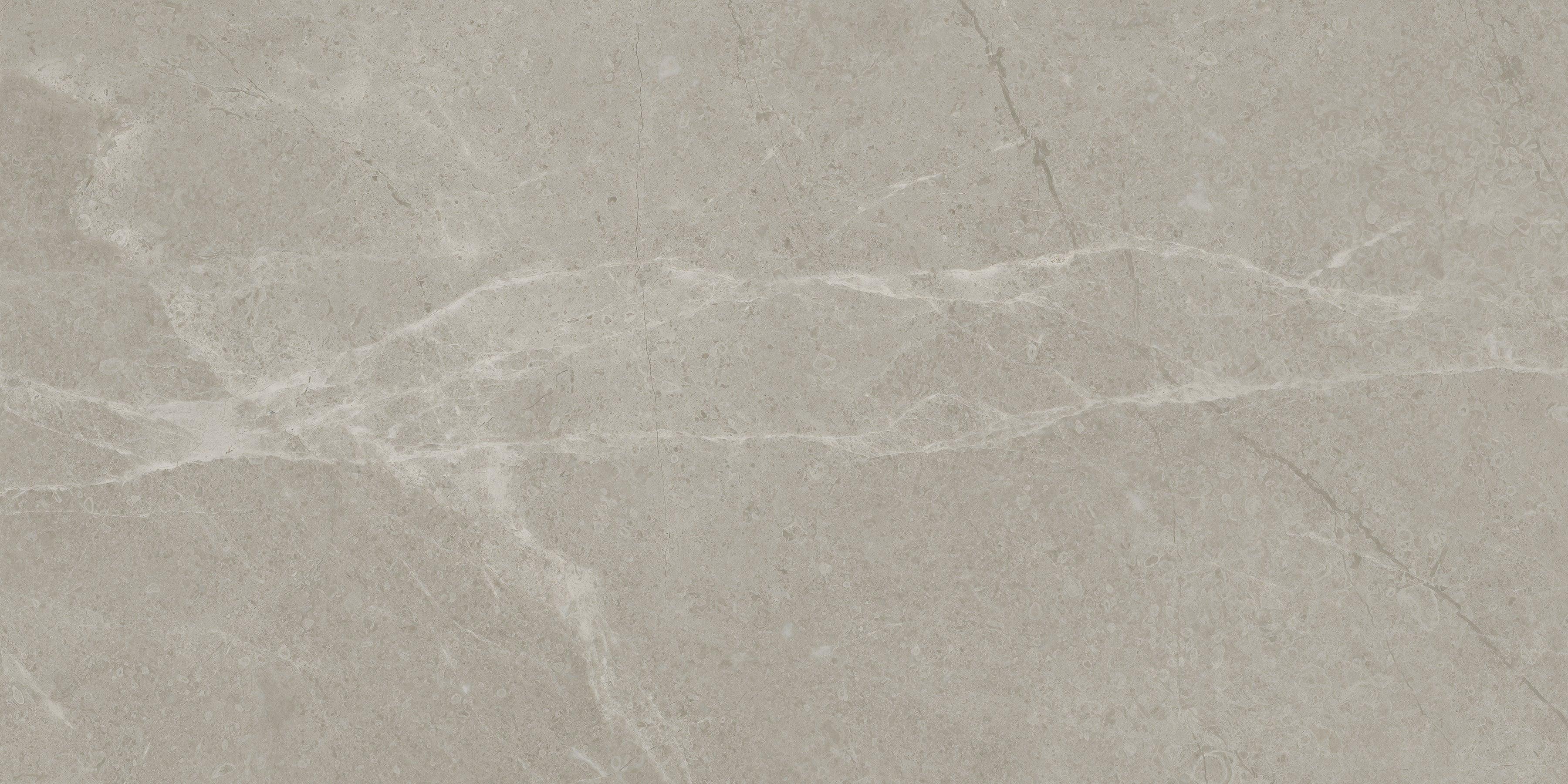 Anatolia - Tuiles de porcelaine Torino Vanizio mate 12" x 24"