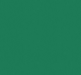 ProSolutions - Athletica Rouleau Field Green 5mm