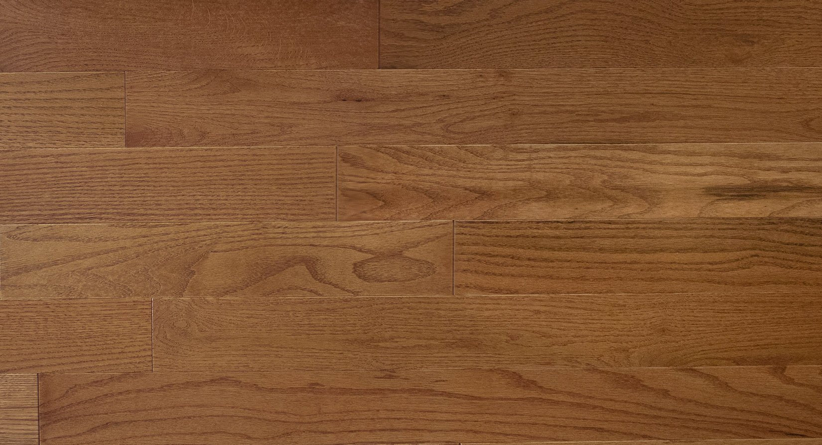 Grandeur Contemporary Gunstock