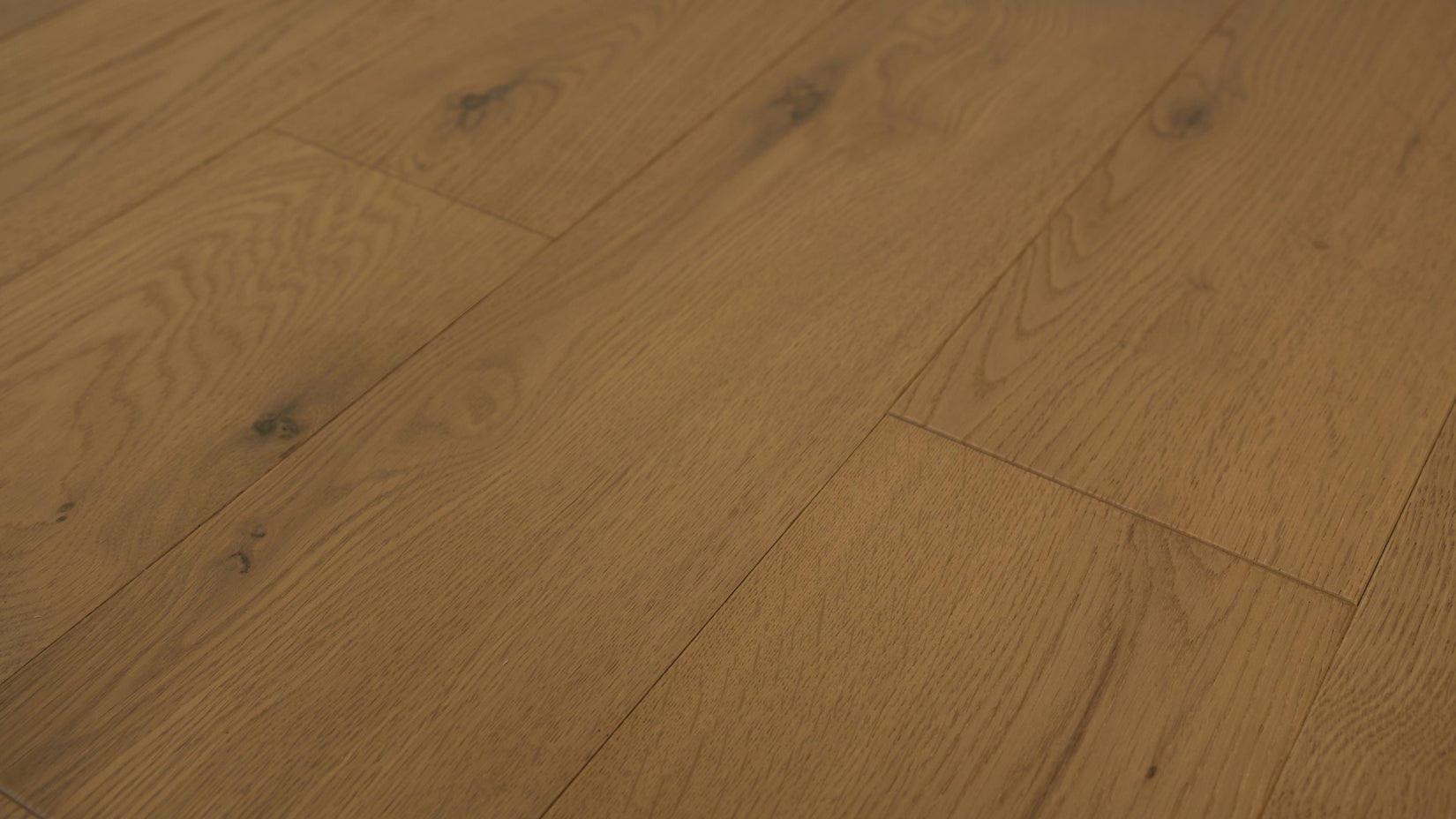 Grandeur Evergreen Elm