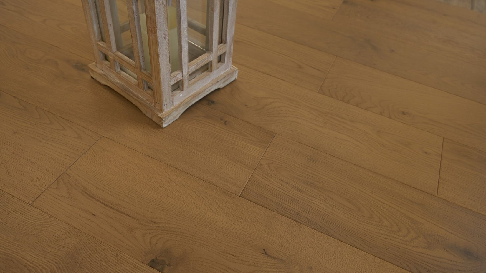 Grandeur Evergreen Elm